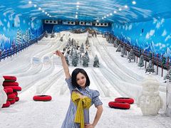 -世界之窗阿尔卑斯冰雪世界