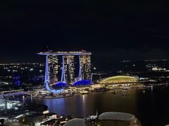 -新加坡瑞士史丹福酒店