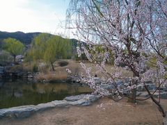 -北京西山国家森林公园