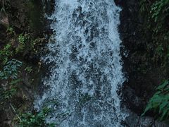 -马峦山郊野公园