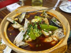 -谢记上海大排档(长寿路店)