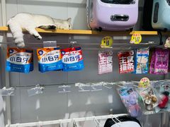 -爱洗澡的猫(望京店)