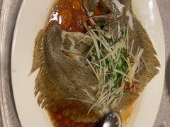 原汁清蒸多宝鱼-天伦王朝酒店·盛华瑄餐厅