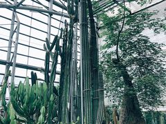 -南山植物园