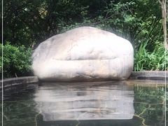 -七彩云南古滇温泉山庄