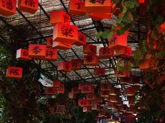 -长鹿旅游休博园