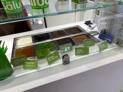 -Salud撒露欧洲冻酸奶(蓝色港湾店)