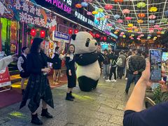 -喜鹊音乐酒馆(西街店)