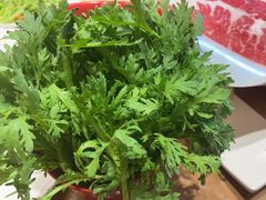 -清真军邺·金富苑肥牛(石坡街旗舰店)