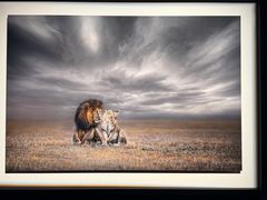 -罗红摄影艺术馆