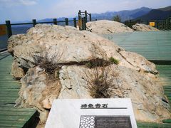 -定都阁