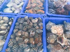 -亚龙湾8号(丁村万人海鲜广场店)