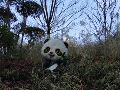 -西安电影制片厂