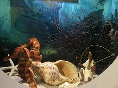 -海合安青岛极地海洋公园