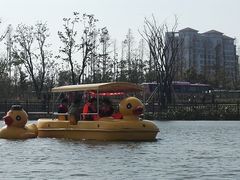 -上海长兴岛郊野公园