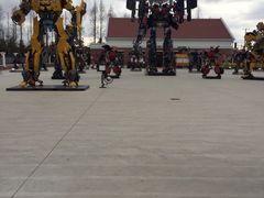 -上海长兴岛郊野公园