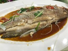 -天津津利华酒店