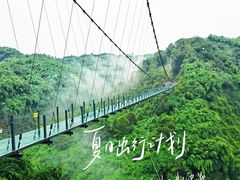 -川西竹海景区