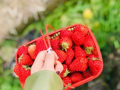 -楠溪江风景名胜区