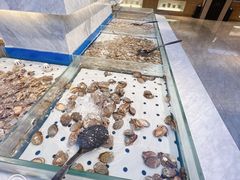 -川骄海鲜自助(河东店)