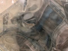 -艾贝尔宠物医院·狂犬免疫点(江山金象城店)