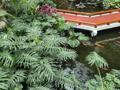 -广州白天鹅宾馆