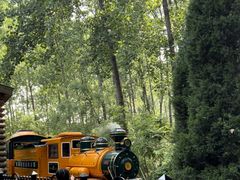 -合肥滨湖国家森林公园