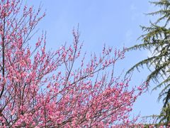 -浙江大学(玉泉校区)