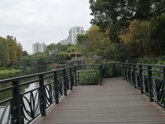 -晓港公园