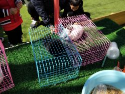 -萌宠亲子动物乐园(槐房万达店)