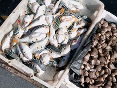 -芦潮港集贸市场