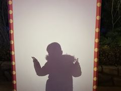 -芜湖方特东方神画