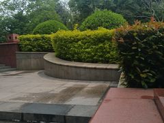 -八仙山公园