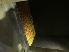罗生门密室逃脱俱乐部(亚运村店)-秃鹫湾·推理大师沉浸式实景演绎推理剧场