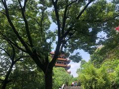 -黄鹤楼公园(黄鹤楼)