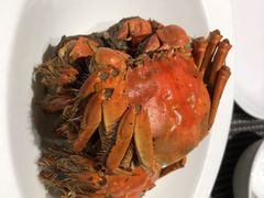 -欣旺·迎宾楼·百年无锡菜