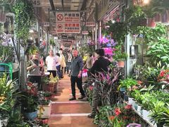 -曲水兰亭(北京四惠店)