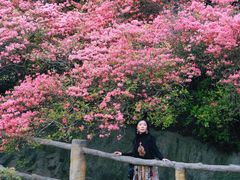 -木兰云雾山