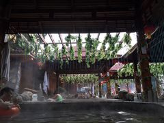 -骏途旅游