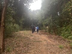 -北仑森林植物园