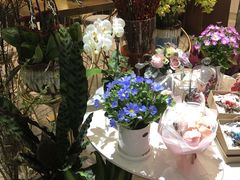 -卓花境Flowerwonderland花店