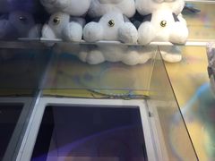 -PAWTOY爪e玩偶店(天兴罗斯福店)