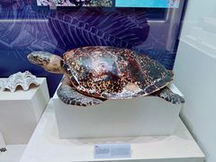 -上海中国航海博物馆