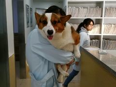 -爱侣宠医·鹦鹉专科·小型哺乳类·异宠专科(灵石路店)