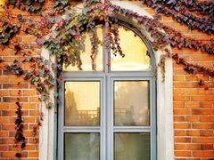 -上海佘山国家森林公园西佘山园