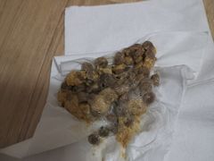 -北京观赏动物医院·24小时大型综合·猫专科·异宠专科
