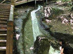 -野三坡百里峡景区