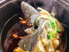 -鑫鸿达·海鲜闽菜热炒小馆(中山路店)