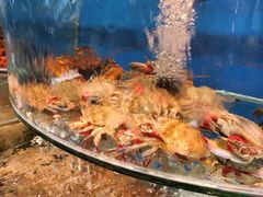-沿海渔家院海鲜烧烤·东北菜(东戴河店)