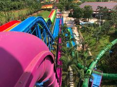 -美的鹭湖探索王国